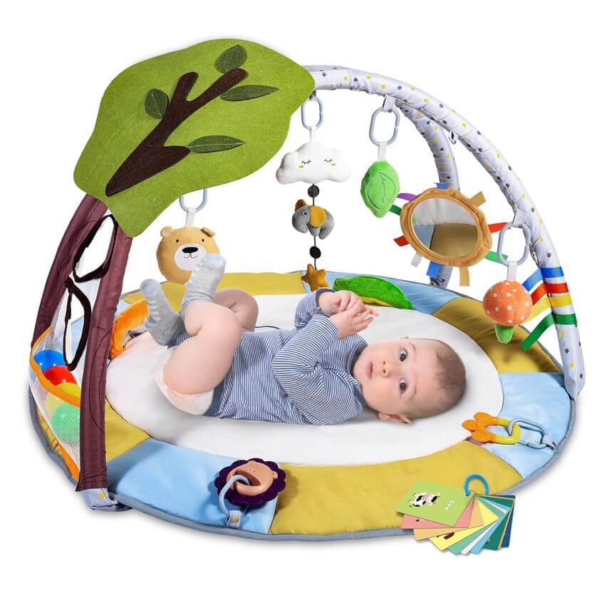 Baby Play Gym