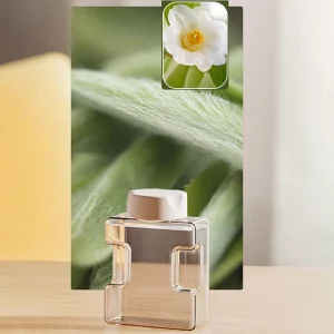 Fragrance Essential Oil for Aroma Diffuser - White Tea