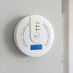 carbon monoxide detector, carbon monoxide alarm, co alarm, carbon monoxide sensor