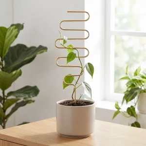 wire trellis, trellis for climbing plants