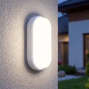 Minimalist Cold White Oval Sconce LED Wall Lamp