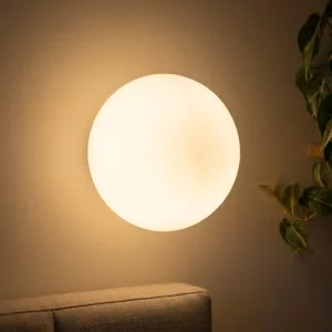 Minimalist Frosted Glass Round Sconce Warm White LED Wall Lamp