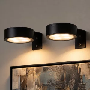 battery operated picture light, magnetic picture light, picture lamp, battery operated art light
