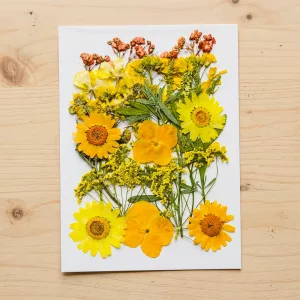 dried flowers for crafts, pressed flower crafts