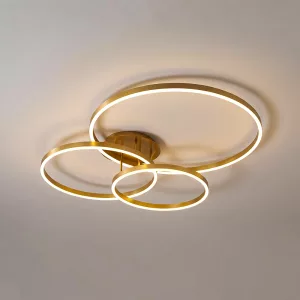 Remote Control Modern Ring Chandelier Dimmable LED Ceiling Lights